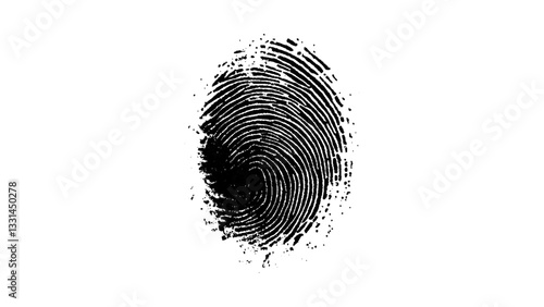 One black fingerprint isolated on white background. Silhouette of finger print white background. Fingerprint isolated on transparent or white background, 