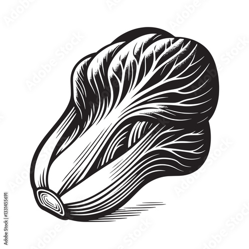 Elegant botanical illustration of bok choy in monochrome woodcut style