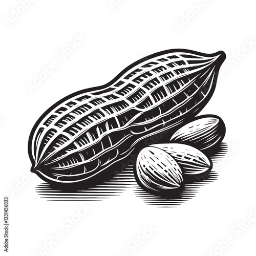 Elegant peanut illustration with minimalist woodcut aesthetic on white backdrop