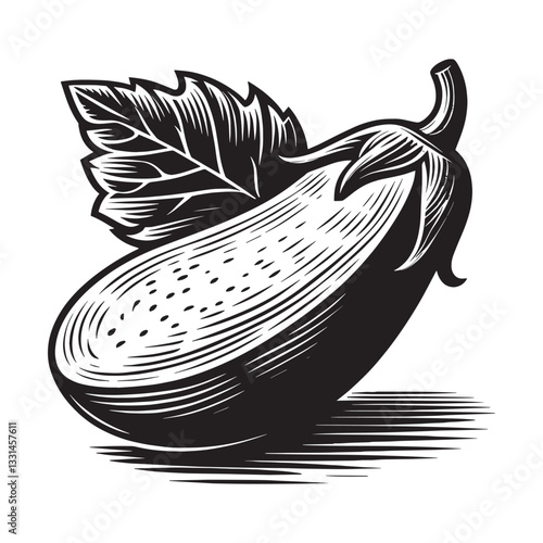 Engraved depiction of an eggplant, botanical illustration, black and white artwork