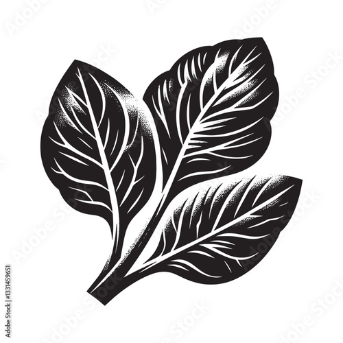 Monochrome botanical illustration showcasing sorrel leaves with vector design