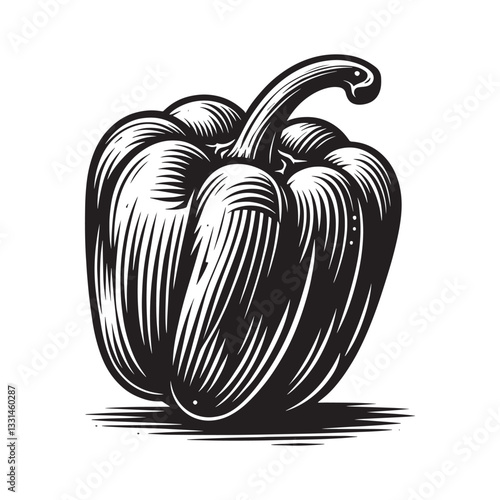 Monochrome engraving illustration showcasing a bell pepper with textured details