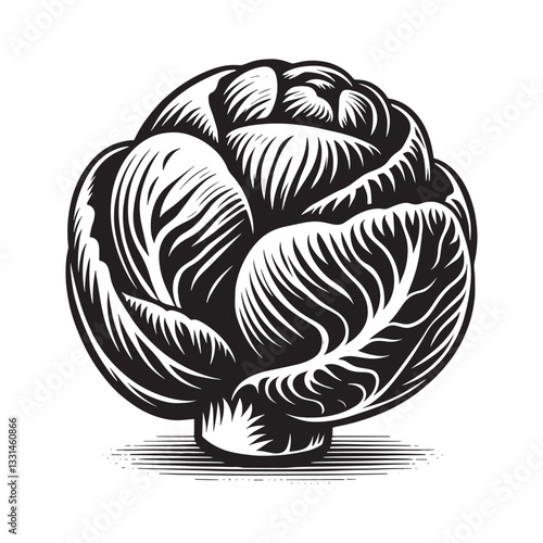 Monochrome rendition of Brussel Sprouts with Clean Woodcut Aesthetic Artistry