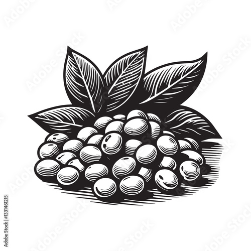 Monochrome soybeans with foliage in a clean woodcut style illustration