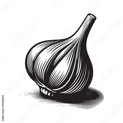 Monochrome vectorized garlic bulb with detailed engraving effect isolated