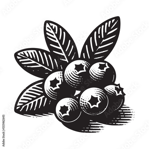 Striking blueberry illustration featuring a minimalist woodcut design aesthetic