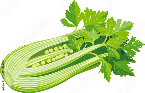 fresh green celery