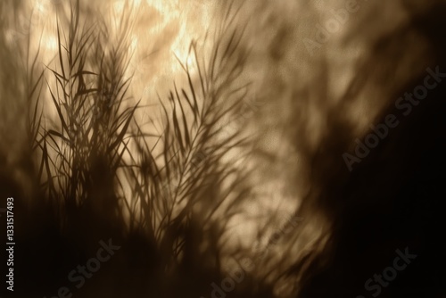 Shadows of Grass Against a Glowing Golden Backdrop During Sunset