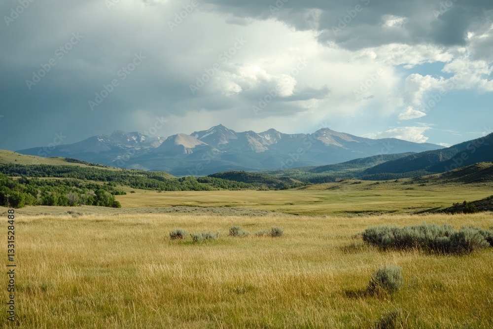 Fototapeta premium Montrose Colorado Canyon: Mountain Field Preserved Rock Geology