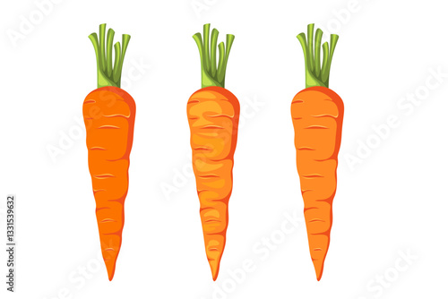 Obraz na plátně Orange carrot