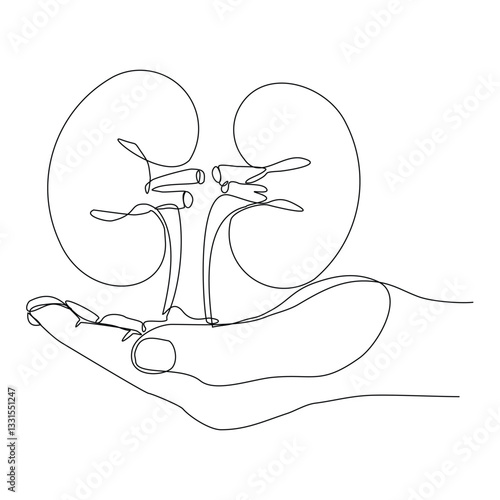 Continuous single line of  hand holding kidney human body organ anatomical for donor donation medical science. Sketch drawing editable stroke vector illustration