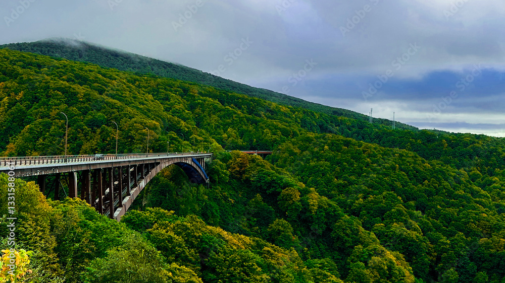 Fototapeta premium Steel Bridge in Nature