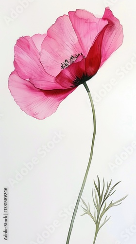 Obraz na płótnie Perfect poppy watercolor illustration, isolated on white background, graceful and slender, fine details and realistic representation w salonie