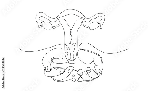 Continuous single line of hand holding uterus ovary cervix anatomy female reproductive organ sketch drawing editable stroke vector illustration