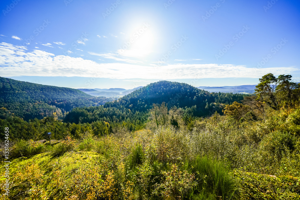 Obraz premium View from the Altdahn castle massif of the surrounding landscape with green forests. Nature at the medieval rock castle in the Palatinate region. 