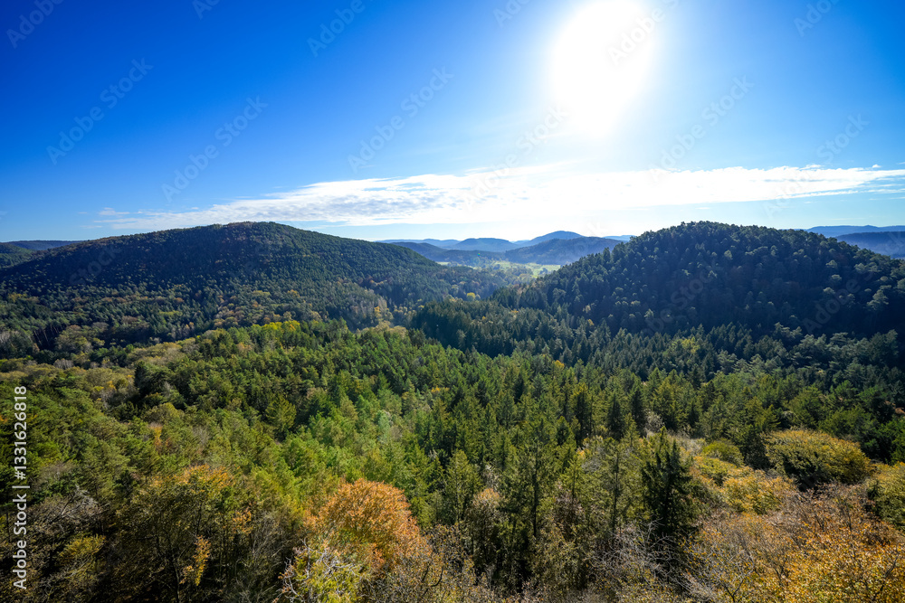 Obraz premium View from the Altdahn castle massif of the surrounding landscape with green forests. Nature at the medieval rock castle in the Palatinate region. 