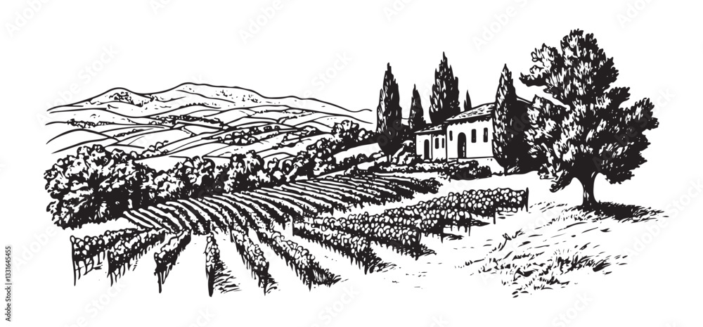 Naklejka premium Vineyard landscape sketch