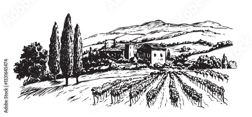 Vineyard landscape sketch