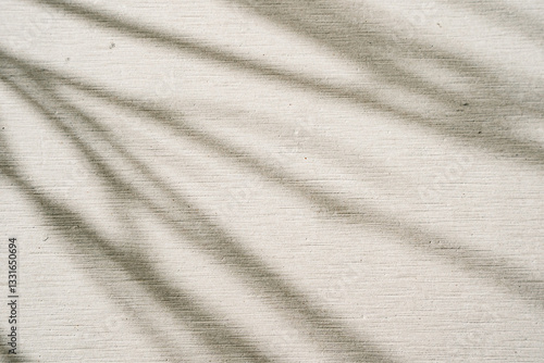 Wallpaper Mural Aesthetic white beige wall texture background with leaf shadow. Torontodigital.ca