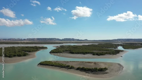 mangrove forests near the island of Qeshm in the Persian Gulf