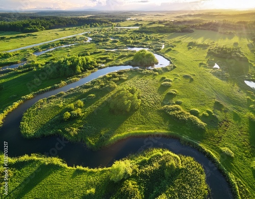 Generated image Aerial view of a winding river surrounded by freshly sprouted greenery and blooming trees