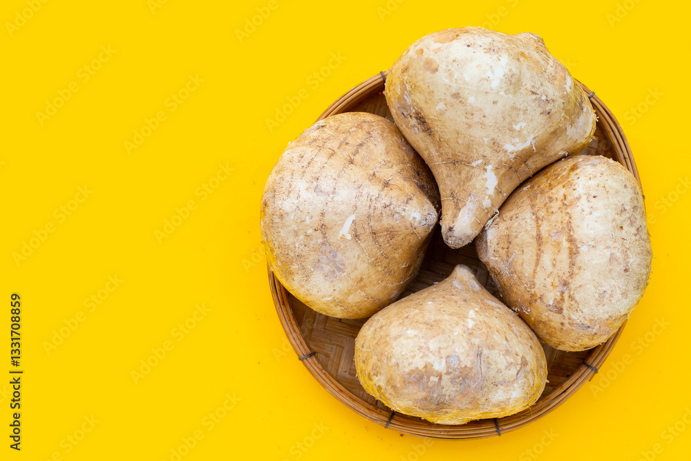 Fototapeta premium Mexican turnip or jicama or yam bean