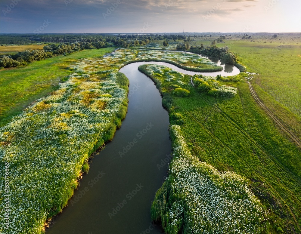 Obraz premium Generated image Drone view of a river delta with fresh green grass and flowers blooming along its banks