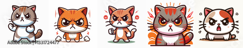 cute and adorable angry cat vector