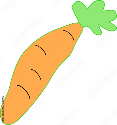hand drawn carrot