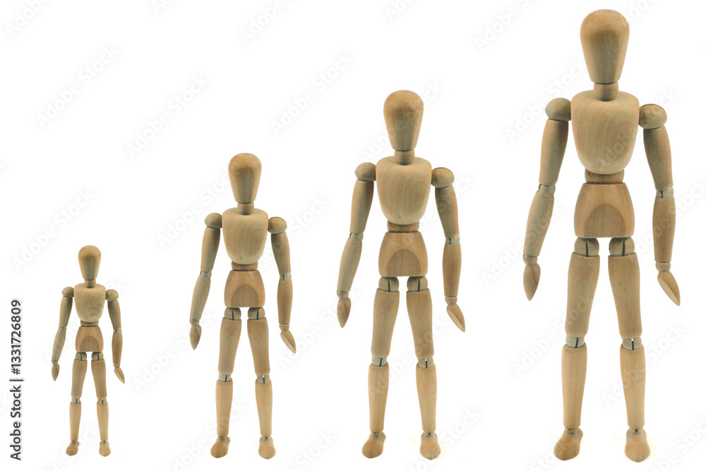 Concept de croissance avec des mannequins articulés en bois sur fond blanc Concept de croissance avec des mannequins articulés en bois sur fond blanc