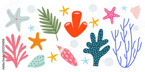 Sea shells vector cartoon collection, mollusks, corals, algae, starfish. Underwater reef flora vector illustration icons set. Marine life