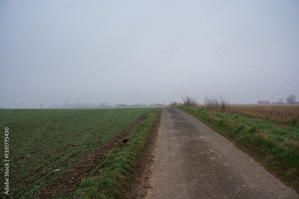 Rural road in field with fog in distance, near Lumby, North Yorkshire Rural road in field with fog in distance, near Lumby, North Yorkshire