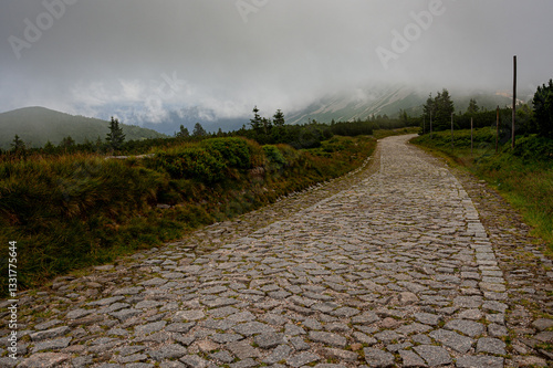 Brukowana droga w górach w mglisty dzień