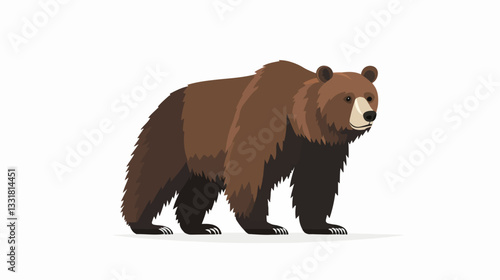 Brown bear illustration. Bear. Wild animal.