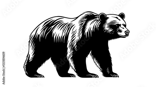 Black and white illustration of a brown bear. Bear. Wild animal.