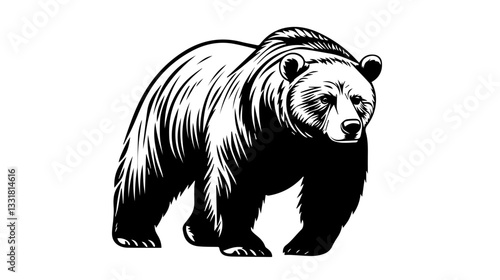 Black and white illustration of a brown bear. Bear. Wild animal.