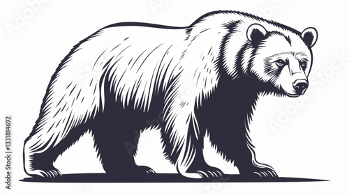Black and white illustration of a brown bear. Bear. Wild animal.