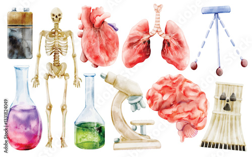Watercolor Medical Science Illustration Set, Hand Painted, Realistic, Human Anatomy, Skeleton, Heart, Lungs, Brain, Laboratory Equipment, Microscope, Beaker, Chemistry Flask