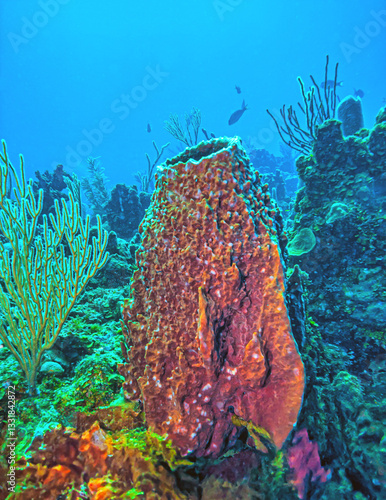 Obraz na płótnie Caribbean coral garden w salonie