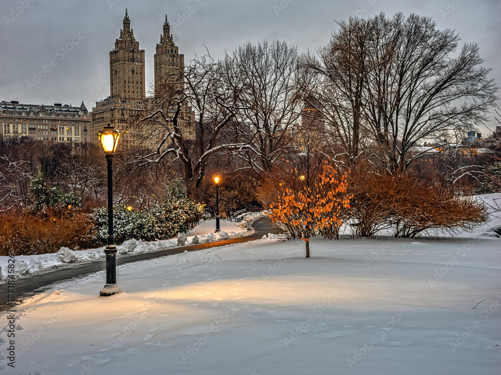 Central Park in winter , after snow storm