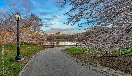 Central Park, New York City at the lake, in early spring