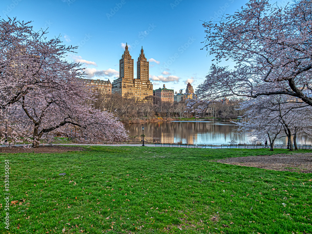 Central Park, New York City at the lake, in early spring