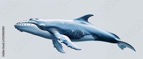 Digital representation of a whale swimming.