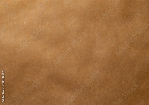 Wallpaper Mural 茶色の和紙の背景テクスチャ Torontodigital.ca