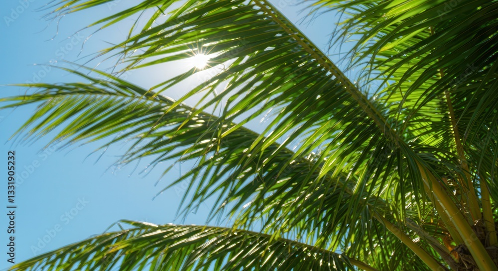 Palm Tree Leaves Against Blue Sky with Bright Sun Glimmering Through Palm Tree Leaves Against Blue Sky with Bright Sun Glimmering Through