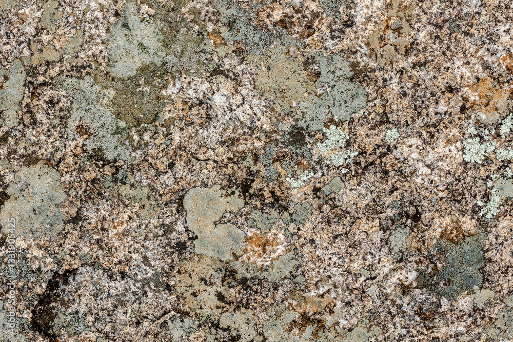 Granite rock stone texture with moss and lichen. Concept: Moss, granite, nature.