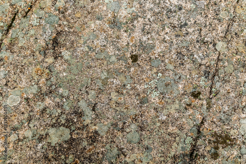 Granite rock stone texture with moss and lichen. Concept: Moss, granite, nature.
