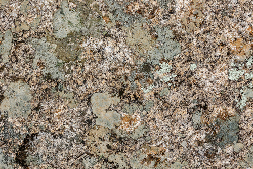 Obraz na płótnie Granite rock stone texture with moss and lichen. Concept: Moss, granite, nature. w salonie