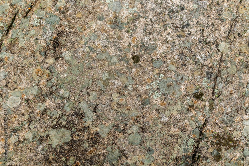 Obraz na płótnie Granite rock stone texture with moss and lichen. Concept: Moss, granite, nature. w salonie