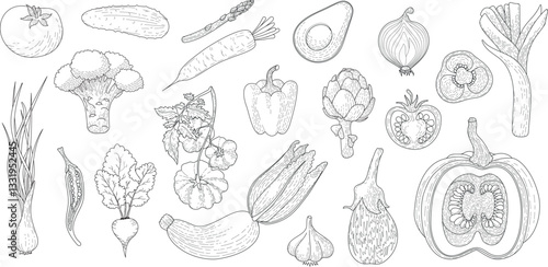 Set of vegetables. A large set of vector linear graphic images of various vegetables.